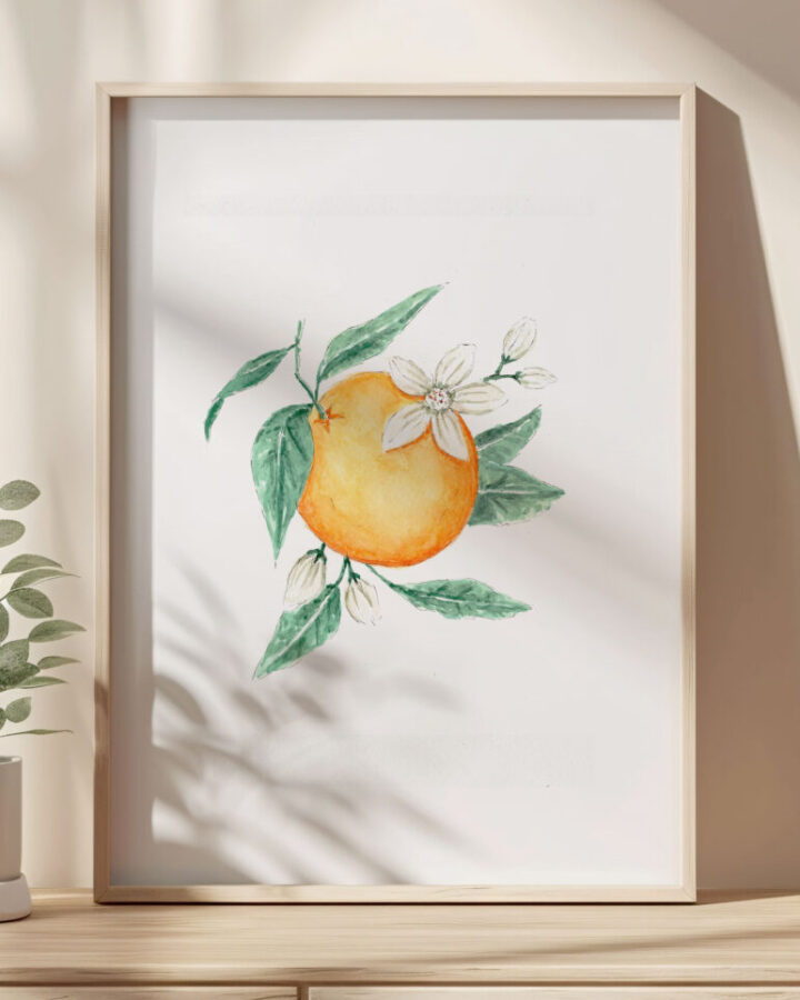 Ilustración de rama de naranjo con naranja, flores de azahar y hojas pintada en acuarela a mano enmarcada como lámina botánica