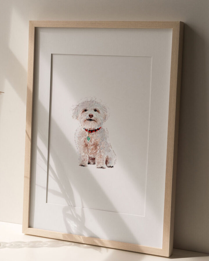 Ilustración artística de perro bichón maltés pintado en acuarela sobre fondo neutro enmarcada en marco de madera para decoración