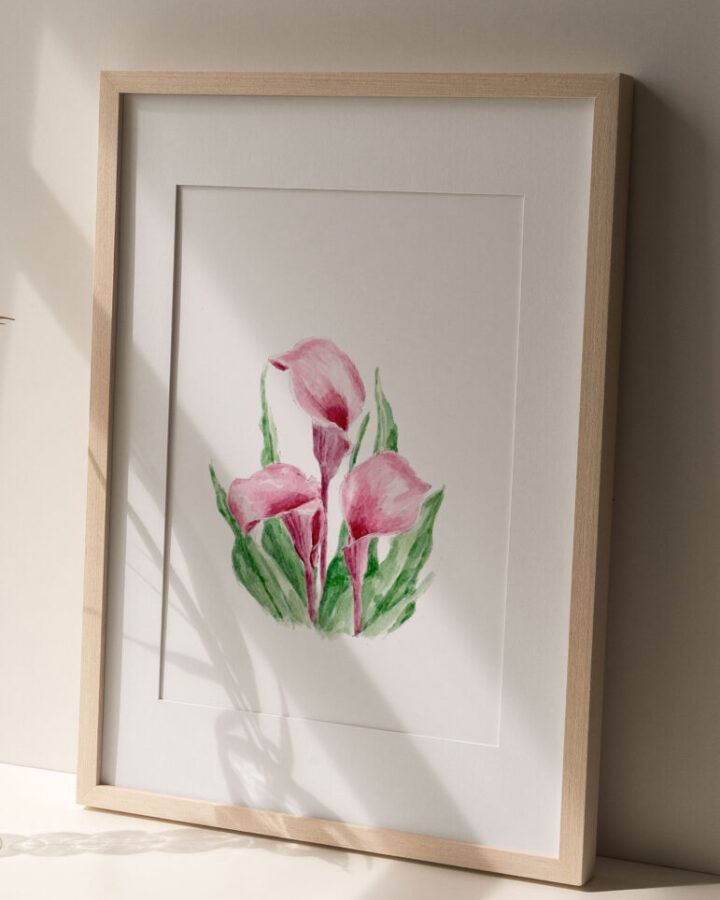 Ilustración de calas rosadas con hojas verdes pintadas en acuarela a mano dentro de marco claro como lámina botánica decorativa