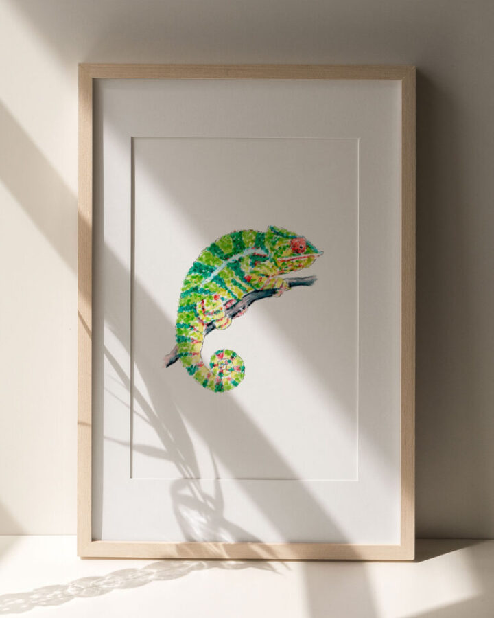 Ilustración artística de camaleón pintado en acuarela sobre fondo neutro enmarcada en marco de madera natural para decoración