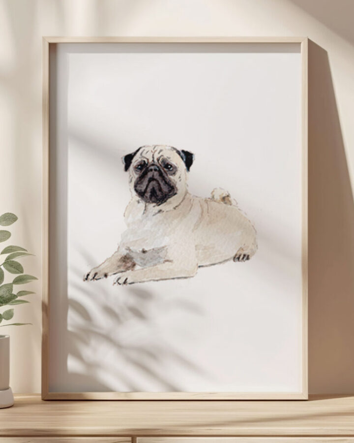 Ilustración artística de perro carlino pug pintado en acuarela sobre fondo neutro enmarcada en marco de madera natural para decoración