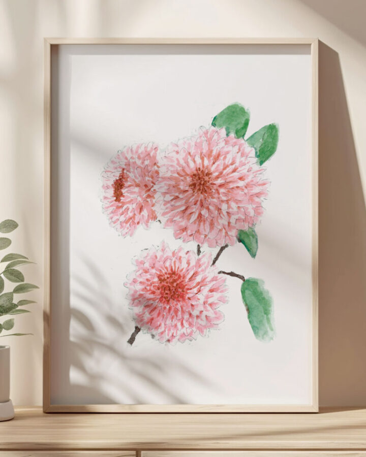 Ilustración de crisantemos rosados con hojas verdes pintados en acuarela a mano dentro de marco blanco como lámina botánica