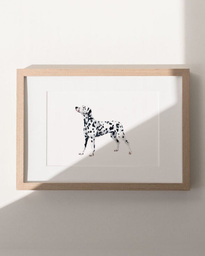 Ilustración artística de perro dálmata pintado en acuarela sobre fondo neutro enmarcada en marco de madera natural para decoración