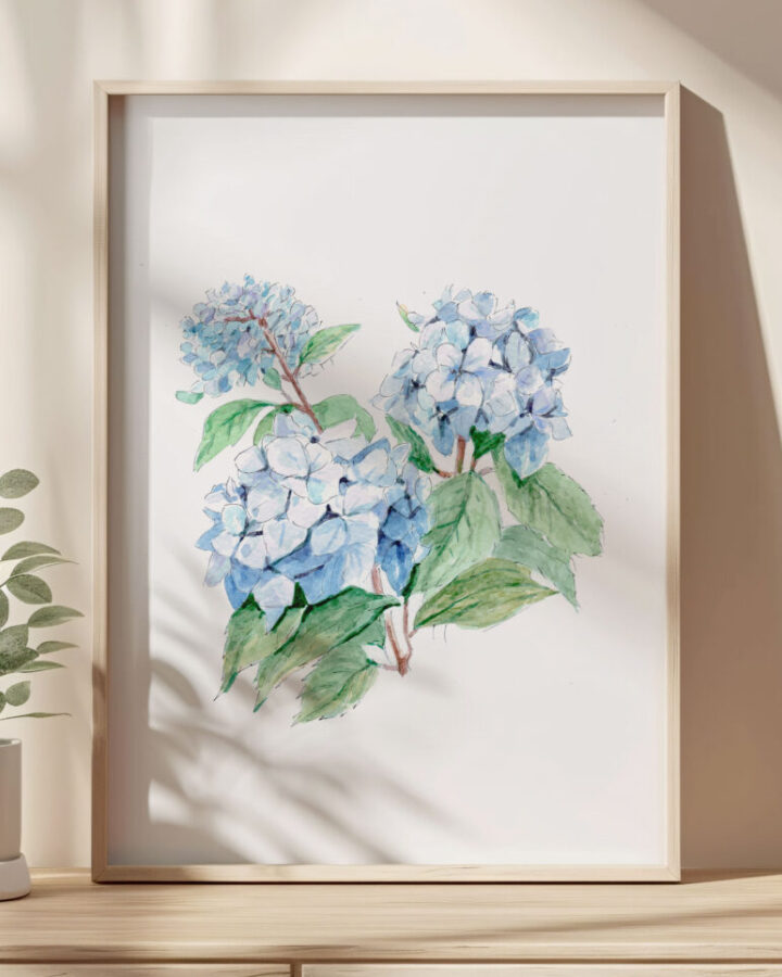 Ilustración de hortensias azules con hojas verdes pintadas en acuarela a mano dentro de marco blanco como lámina botánica decorativa
