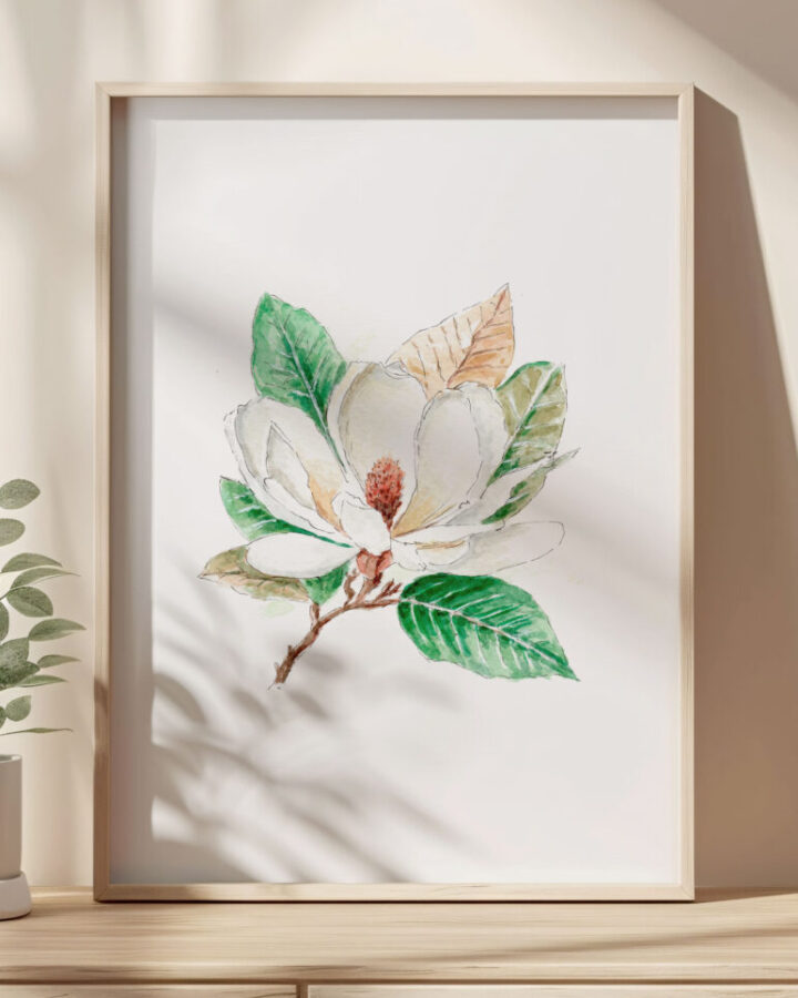 Ilustración de flor de magnolia blanca con hojas verdes pintada en acuarela a mano enmarcada como lámina botánica decorativa