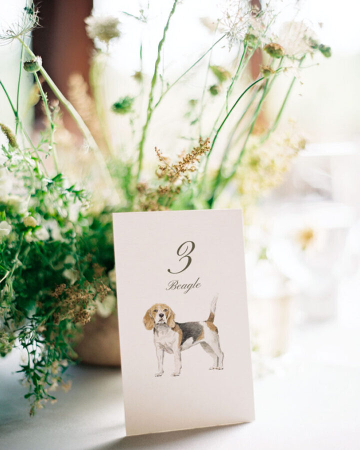 Mesero para boda con número de mesa e ilustración artesanal de perro Beagle pintado en acuarela ambientado con vegetación natural y flores silvestres