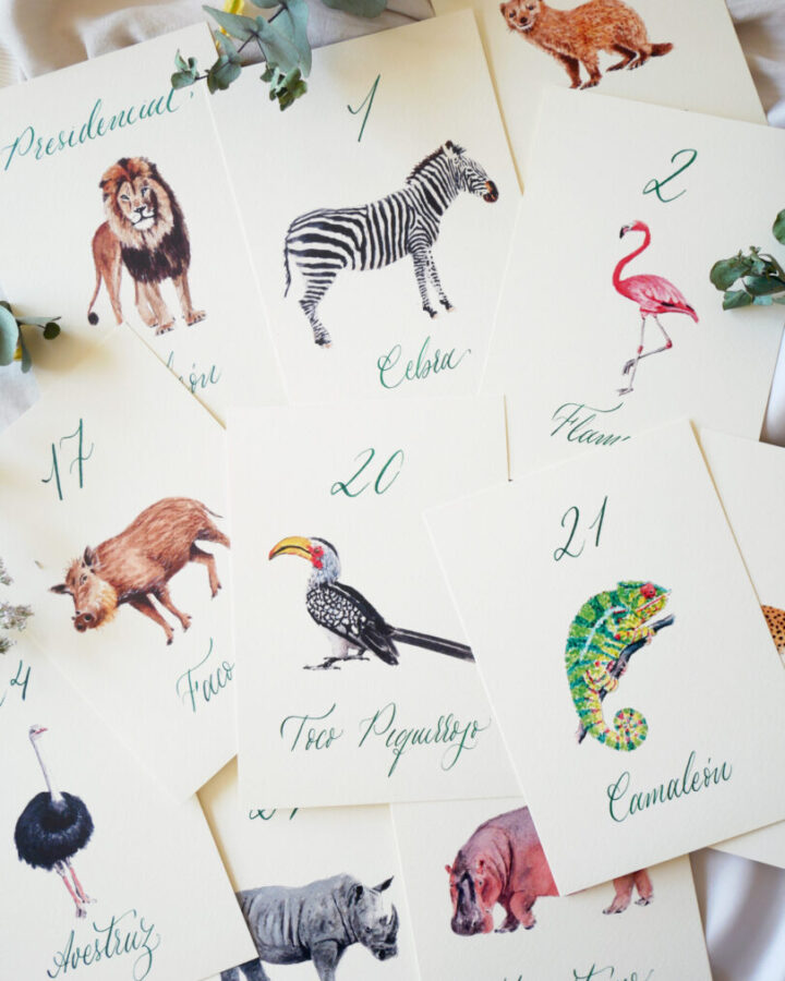 Colección de meseros de boda con ilustraciones de animales africanos pintados en acuarela como león, cebra, flamenco, elefante y jirafa