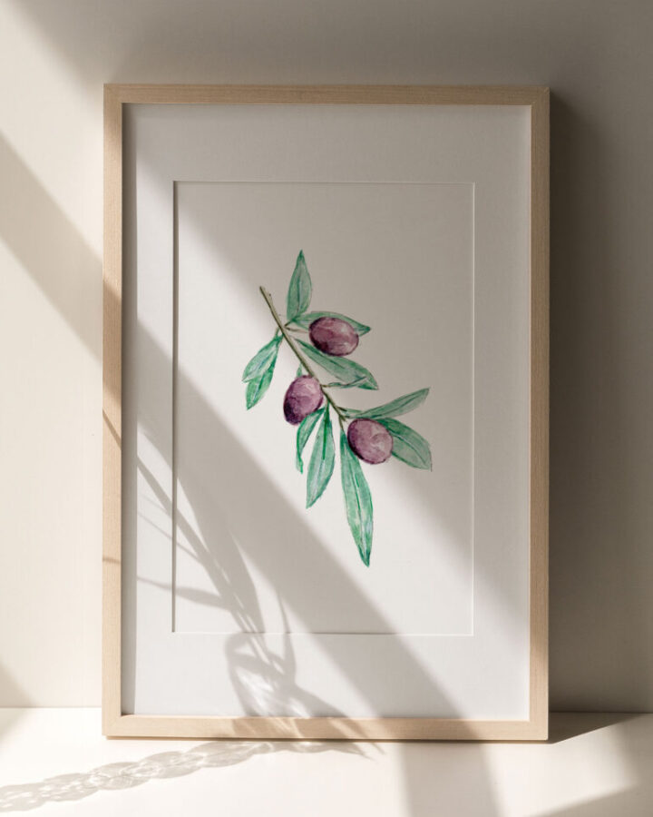 Ilustración botánica de rama de olivo con aceitunas pintada en acuarela a mano enmarcada en blanco como lámina decorativa