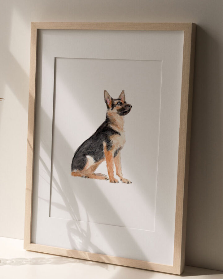 Lámina enmarcada con ilustración de un pastor alemán sentado pintado a mano en acuarela con pelaje en tonos naturales