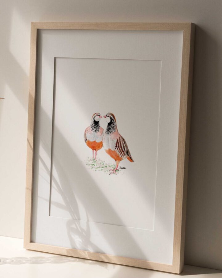 Lámina enmarcada con ilustración de dos perdices juntas pintadas a mano en acuarela con colores naturales sobre papel premium
