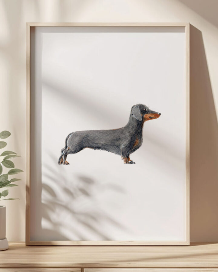 Lámina enmarcada con ilustración de un perro teckel o dachshund pintado a mano en acuarela sobre papel premium
