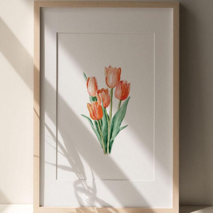 Lámina enmarcada con ilustración de ramo de tulipanes rojos y naranjas pintados en acuarela con passepartout blanco y marco de madera