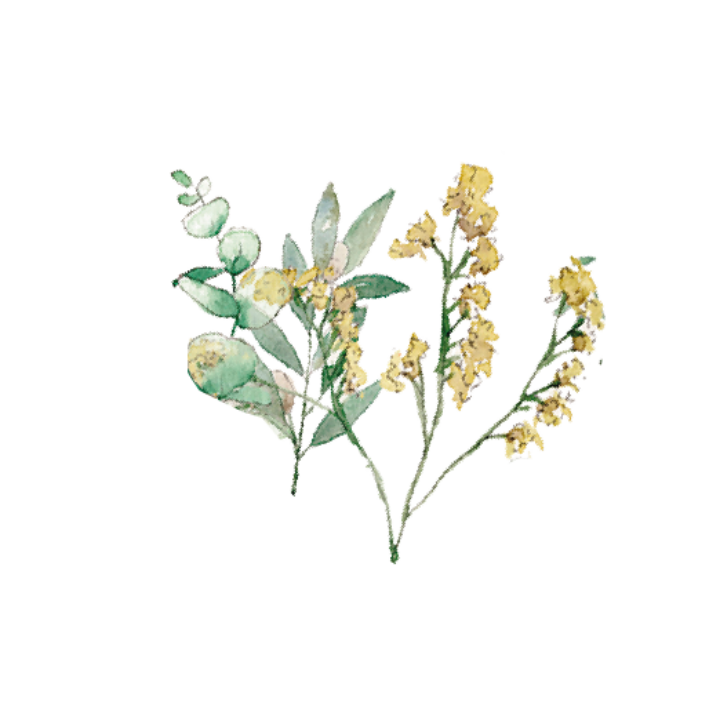 Ilustración en acuarela de composición botánica con hojas de eucalipto verdes y pequeñas flores amarillas, icono de la colección Bosque