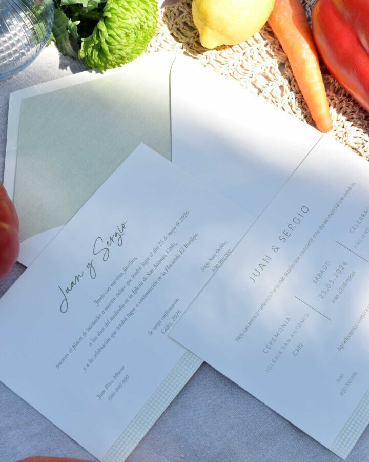 Conjunto completo de papelería de boda Ilustrada con invitaciones, sobres y tarjetas complementarias dispuestos en composición flat lay mediterránea