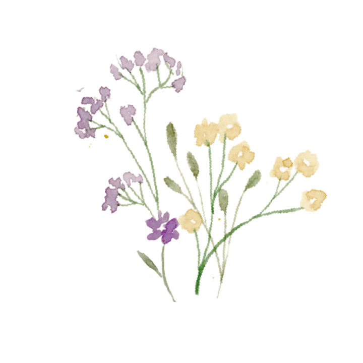 Ilustración en acuarela de ramo de flores silvestres con lavandas moradas, margaritas amarillas y flores rosas evocando la campiña toscana